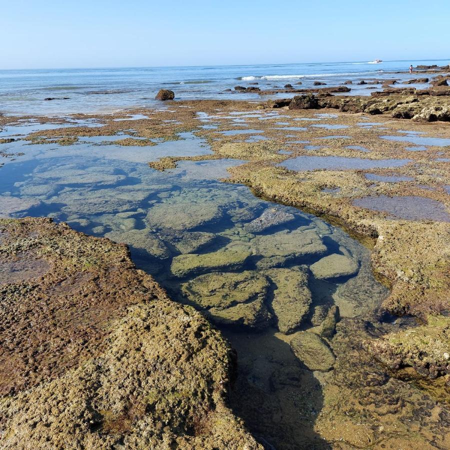 Paradise In Olhos D'Agua Beach 阿尔布费拉 外观 照片